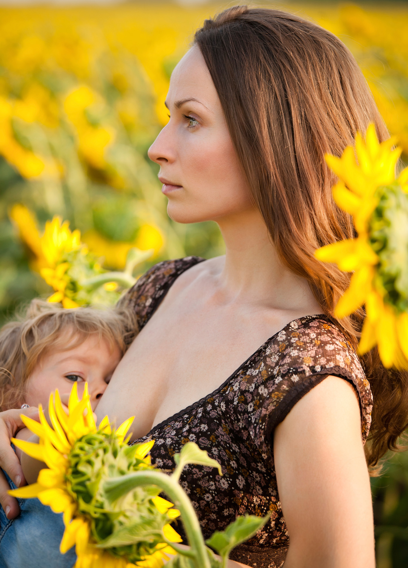 Young woman breastfeeding baby in spring sunflower field